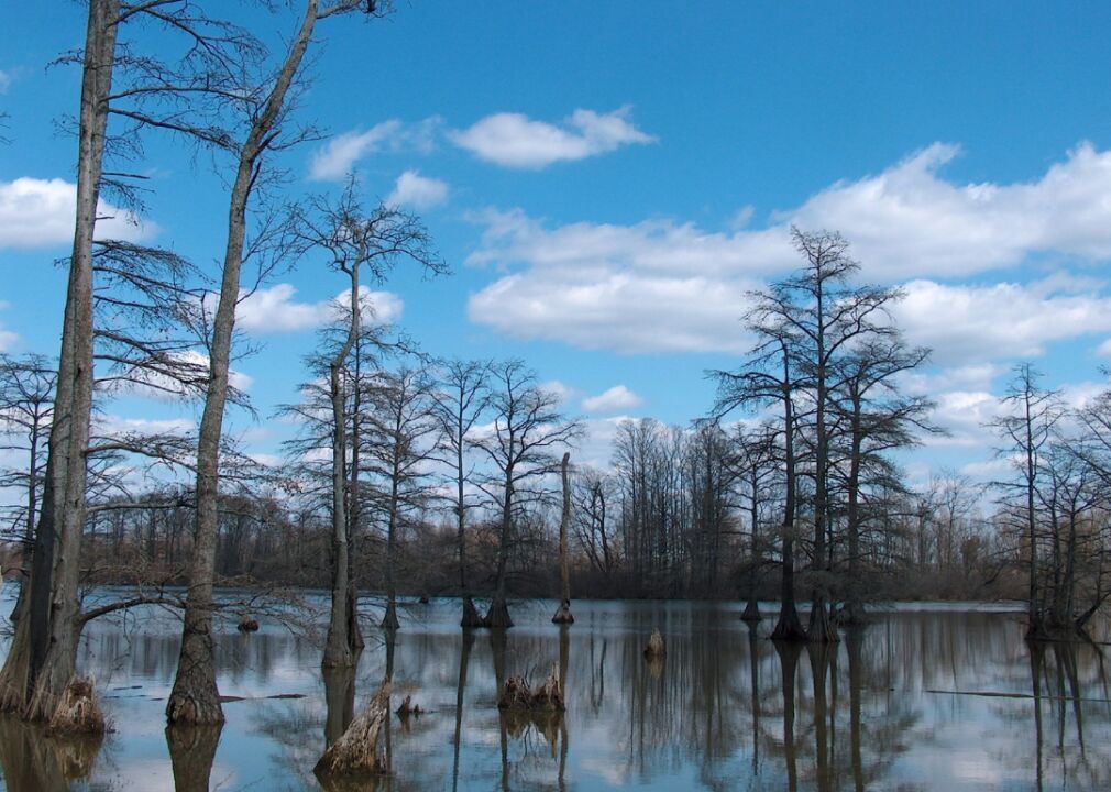 Illinois: Alexander County